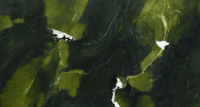 Avocado Marble Natural Stone
