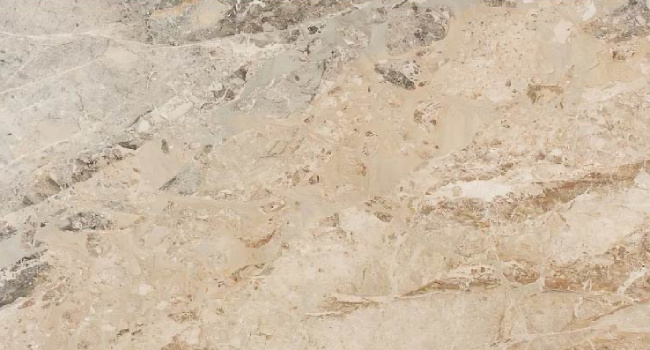 Splendor Exotica Marble Natural Stone