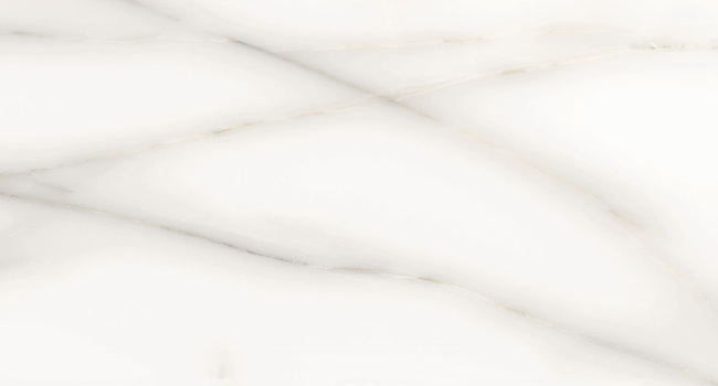 Onix White 24" x 48" Natural Glossy Porcelain Tile