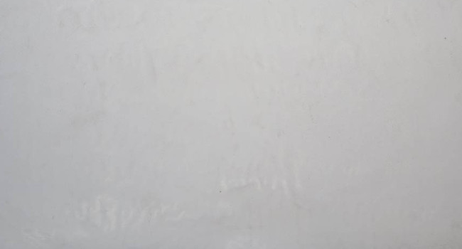 Concrete White Veneer